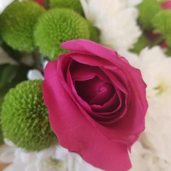 All $19 items 2 for $30, $10 items 2 for $15 - Picture 1 of 1